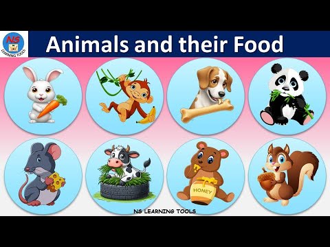 Animals and Their Food | Eating habits of animals | Herbivores carnivores omnivores |25 Animal names