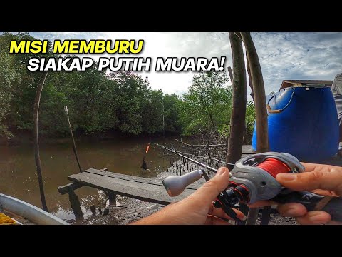 MEMBURU Siakap Putih Muara Sungai Merbok