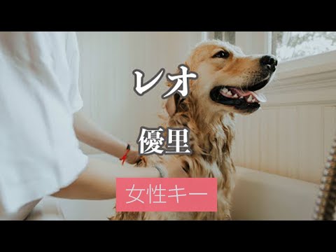 【女性キー(+5)】レオ - 優里【カラオケ・オフボーカル】