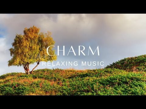 Peaceful Relaxing Guitar Music | Work Study Focus | Charm