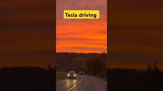 Tesla Model Y Long Range driving #tesla #teslamodely #modely #shorts @Travellifestyle_