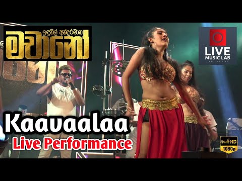 Dulah with D Crush 😍🔥| Kaavaalaa Song | Machano Live Band | Live Music Lab