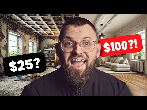 $25 vs. $100 Paint: Can You REALLY Tell the Difference? We Put It To The Test!