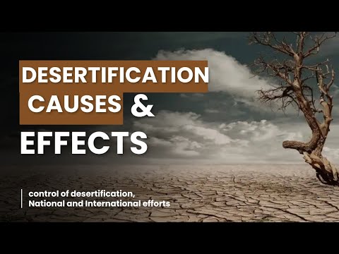 Desertification: Causes, Effects, and Global Solutions!