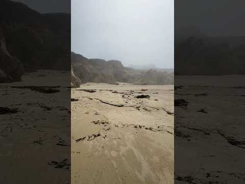 Foggy Morning at Garrapata State Beach