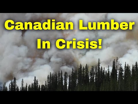 The Lumber Situation in Canada. How Fires, Droughts, Tariffs, and More are Impacting Canadian Lumber