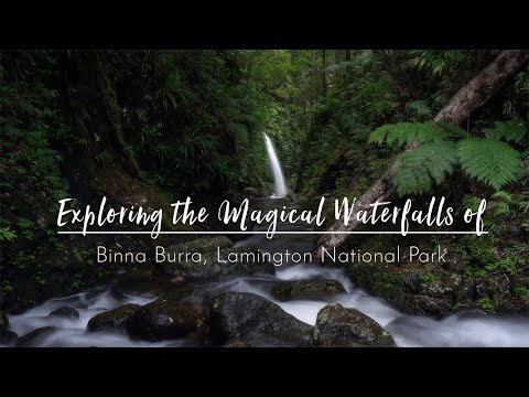 AMAZING Waterfalls in Binna Burra | Lamington National Park