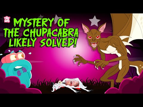 Is The Chupacabra Actually Real? | El Chupacabras | The Mysterious Creature | Halloween Monsters