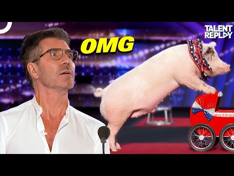 MOST Shocking Animal Auditions!