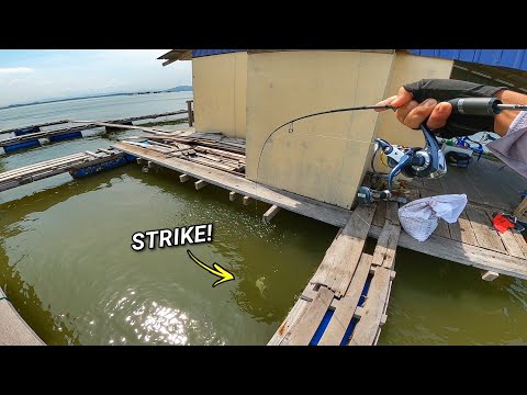 TRIP SOLO YANG GASAK DI KELONG YBT PULAU AMAN! | CHAIFishing