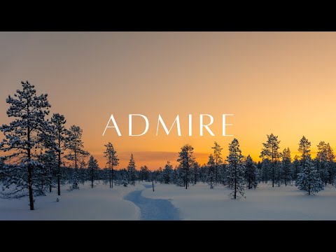 Piano and Guitar Duet in a Snowy Forest | Admire