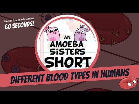 Different Blood Types in Humans - Amoeba Sisters #Shorts