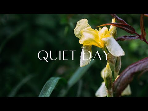 Soft Relaxing Guitar, Piano, and Rain | Sleep Calm | Quiet Day