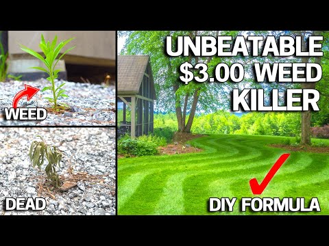 $3 DIY Weed Killer BEATS RoundUp Naturally!