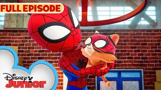 Spidey Cat 🐱| S2 E18 Pt. 2 | Full Episode | Marvel's Spidey and his Amazing Friends | @disneyjr​