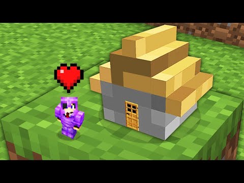 Minecraft but Your Hearts = Size...