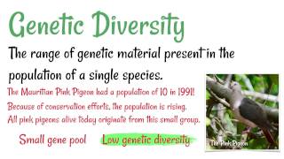 Types of Biodiversity