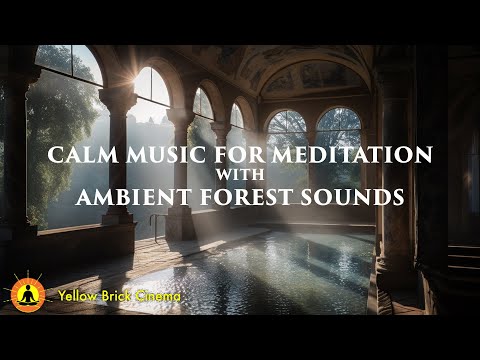 8 Hours, Deep Relaxing Music, Peaceful Music for Mind Relaxation, Calming Meditation, Forest Sounds