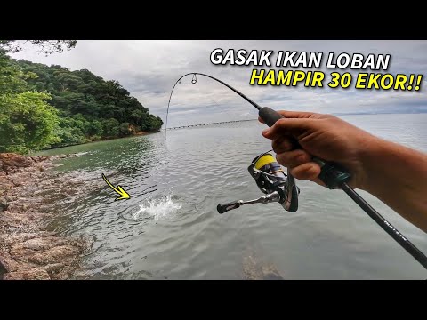 GASAK LOBAN Bertubi Tubi Sehingga Lebih 10kg!!