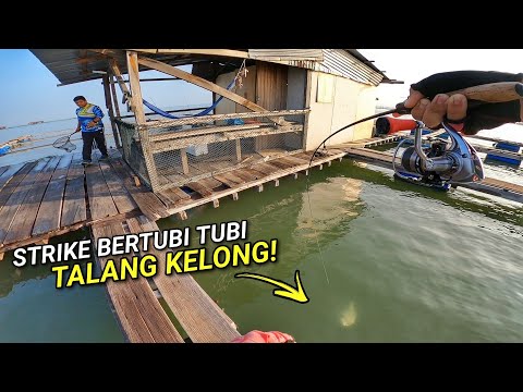 STRIKE BERTUBI TUBI DI KELONG YBT PULAU AMAN!! | CHAIFishing