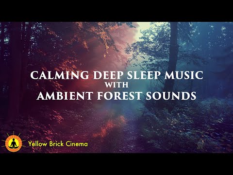 6 Hours | Deep Forest Ambient Music: Calming and Peaceful Music for Study & Meditation | Sleep ☯3827