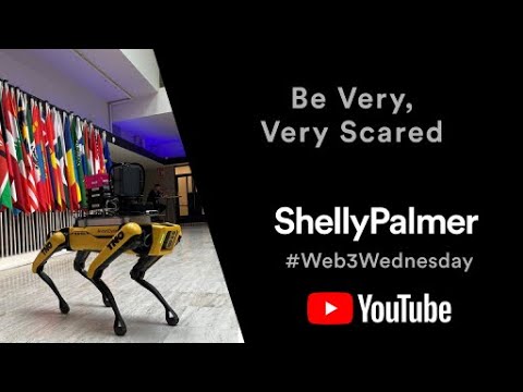 Shelly Palmer #Web3Wednesday | February 22, 2023