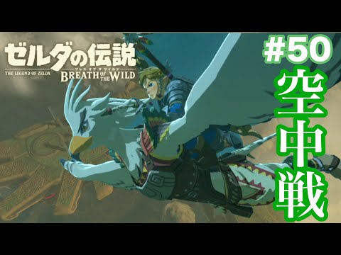 カッコよすぎる…空中戦でリトの村を救え！#50【ゼルダの伝説 ブレス オブ ザ ワイルド】