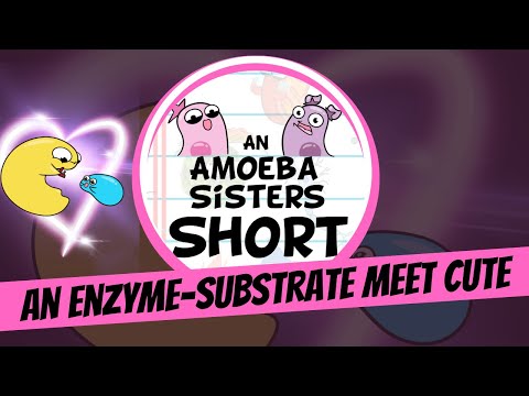 An Enzyme-Substrate Meet Cute - Amoeba Sisters #Shorts