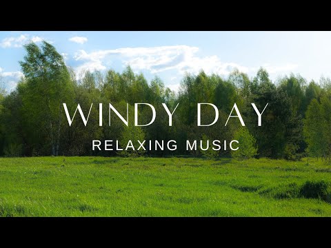 Relaxing Guitar and Piano | Stress Relief Calm | Windy Day