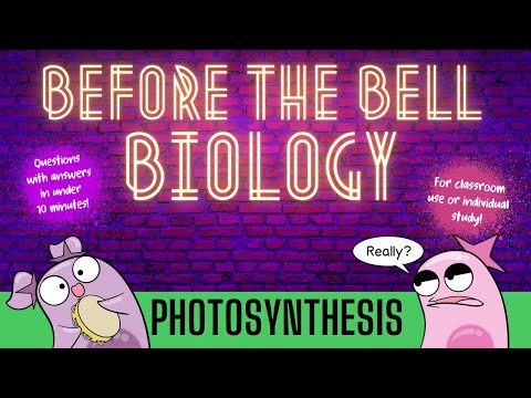 Photosynthesis: Before the Bell Biology