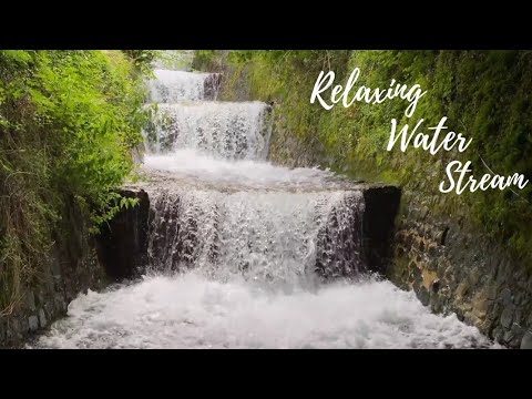 Relaxing Sounds of Water Stream | 1 Hour Relaxing & Peaceful Water Flow Sound with Deep Relaxation |