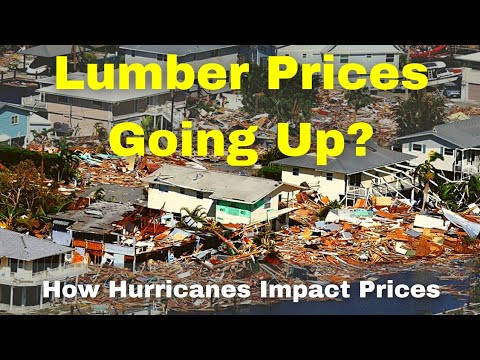 Will the Hurricane Cause Lumber Prices to Skyrocket? How the Recent Storm Damage Will Impact Prices.