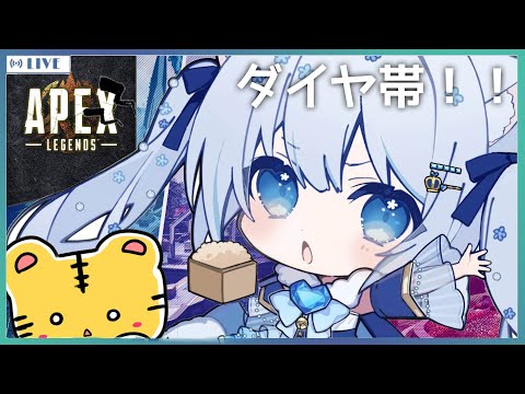 〖apex〗デュオランク💎ダイヤ帯はまだ早いのか戦えるのか！with🐯♂〖#vtuber / #猫海ましろ /#初見さん大歓迎〗