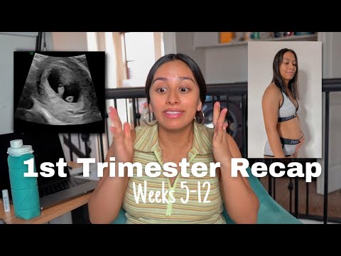 First Trimester Recap | Pregnancy symptoms week by week and tips