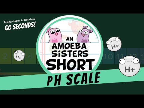 pH Scale - Amoeba Sisters #Shorts