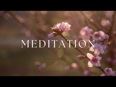 Guitar Music for Meditation & Mindfulness | Landscapes