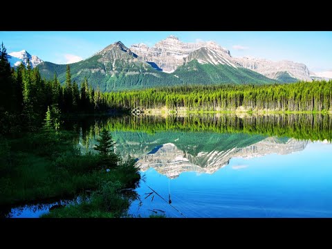 2 Hours Peaceful Lake Views | Relaxing Sound | Scenic Relaxation Film