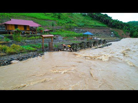 RAIN, FLOOD, FARMS flooded, together protect property, save gardens, harvest, Plant trees, Gardening