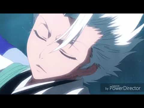 Toshiro Hitsugaya - Perfect Life