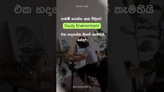 6 Tips to Create the Perfect Study Environment | Sinhala study tips #studytips #study #viralshorts