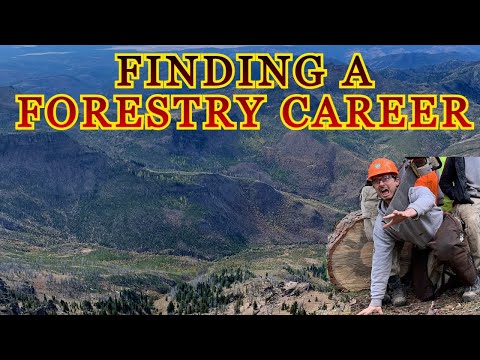 How to become a Forester - Forestry Jobs, Forest Ecology, and other Environmental Jobs!