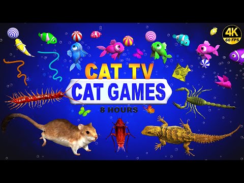 CAT GAMES | ULTIMATE CAT TV COMPILATION FOR FELINE FRIENDS | GAMES FOR CATS 😺 4K 8-HOURS