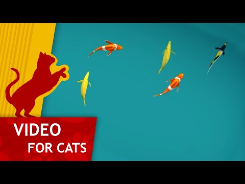 Cat Games - Pond Full of Fish (Cat video for big screens)