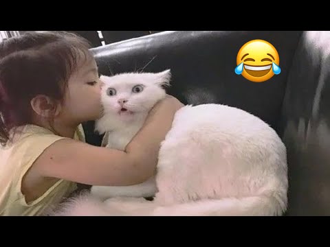 Funny Cat And Dog Videos || Funny Compilation Memes || Try not to laugh🤣