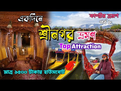 Srinagar Day Tour || কম খরচে হাউসবোটে থাকার অভিজ্ঞতা ||একদিনে শ্রীনগরে কি কি দেখবেন || Dal Lake