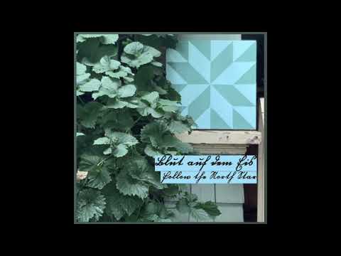 Blut auf dem Eis [band] - Follow the North Star (ambient)