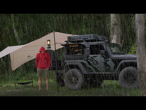 Car CAMPING in heavy RAIN [ Great Food, new car tarp, relaxing sounds ]