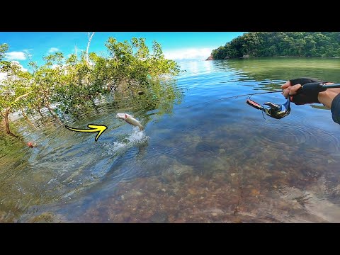 AKHIRNYA!! SIAKAP PUTIH Pulau Berjaya Ditawan!!