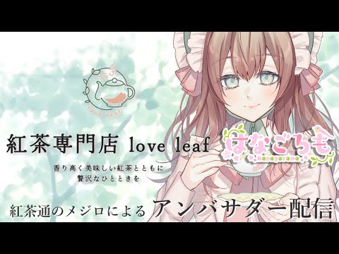 【紅茶専門店loveleaf】はなびらさんに紅茶について知ってもらう #はなごろも #PR