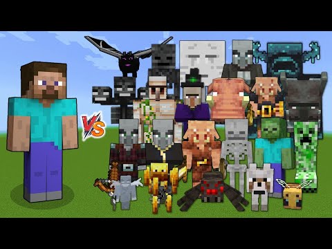 Steve vs All Mobs - Minecraft Mob Battle